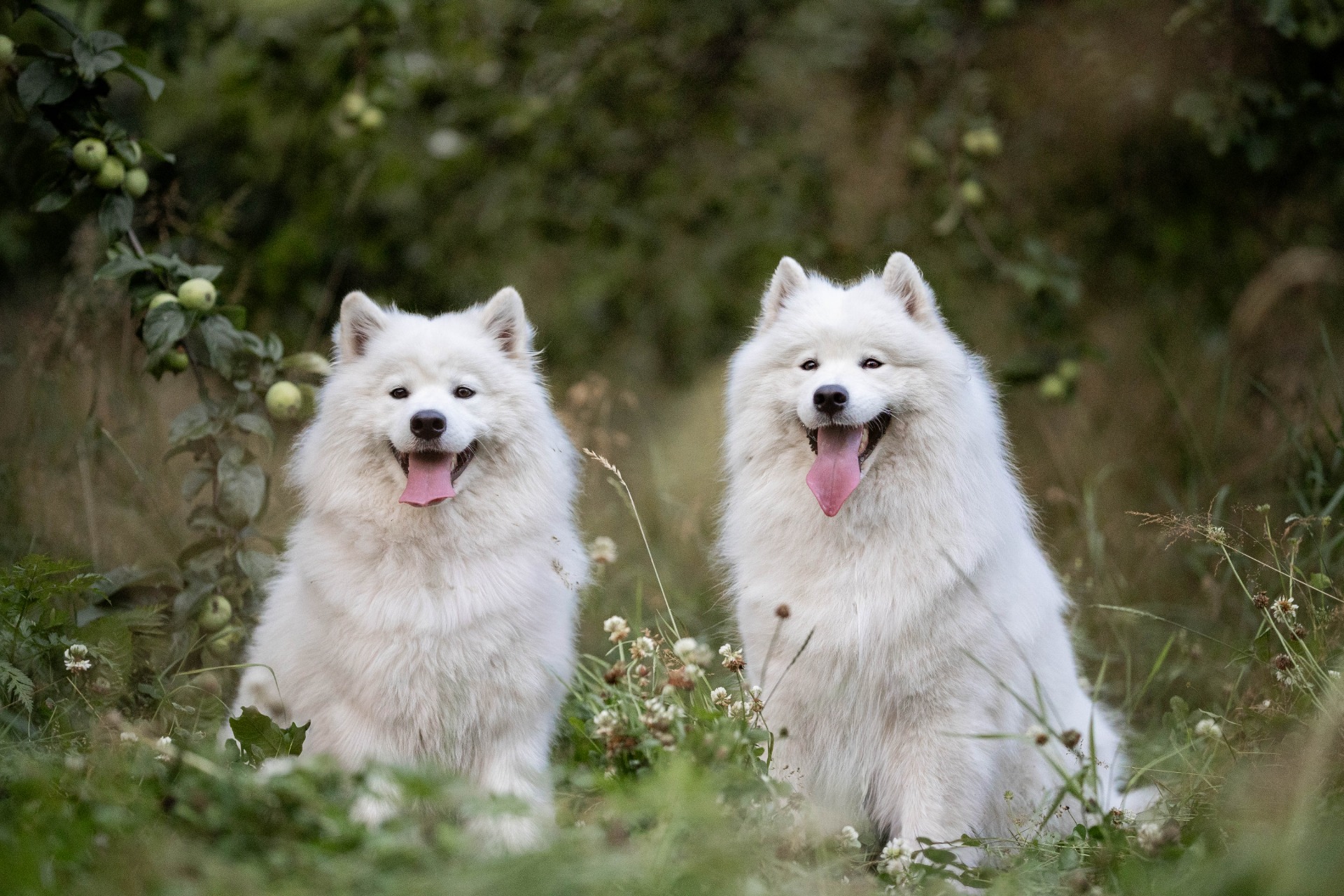 Photo by Tytti Ojala