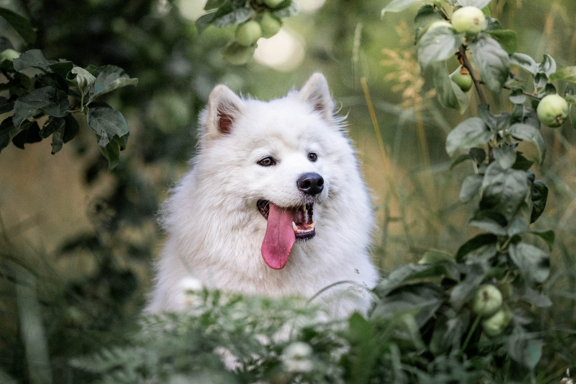 Photo by Tytti Ojala