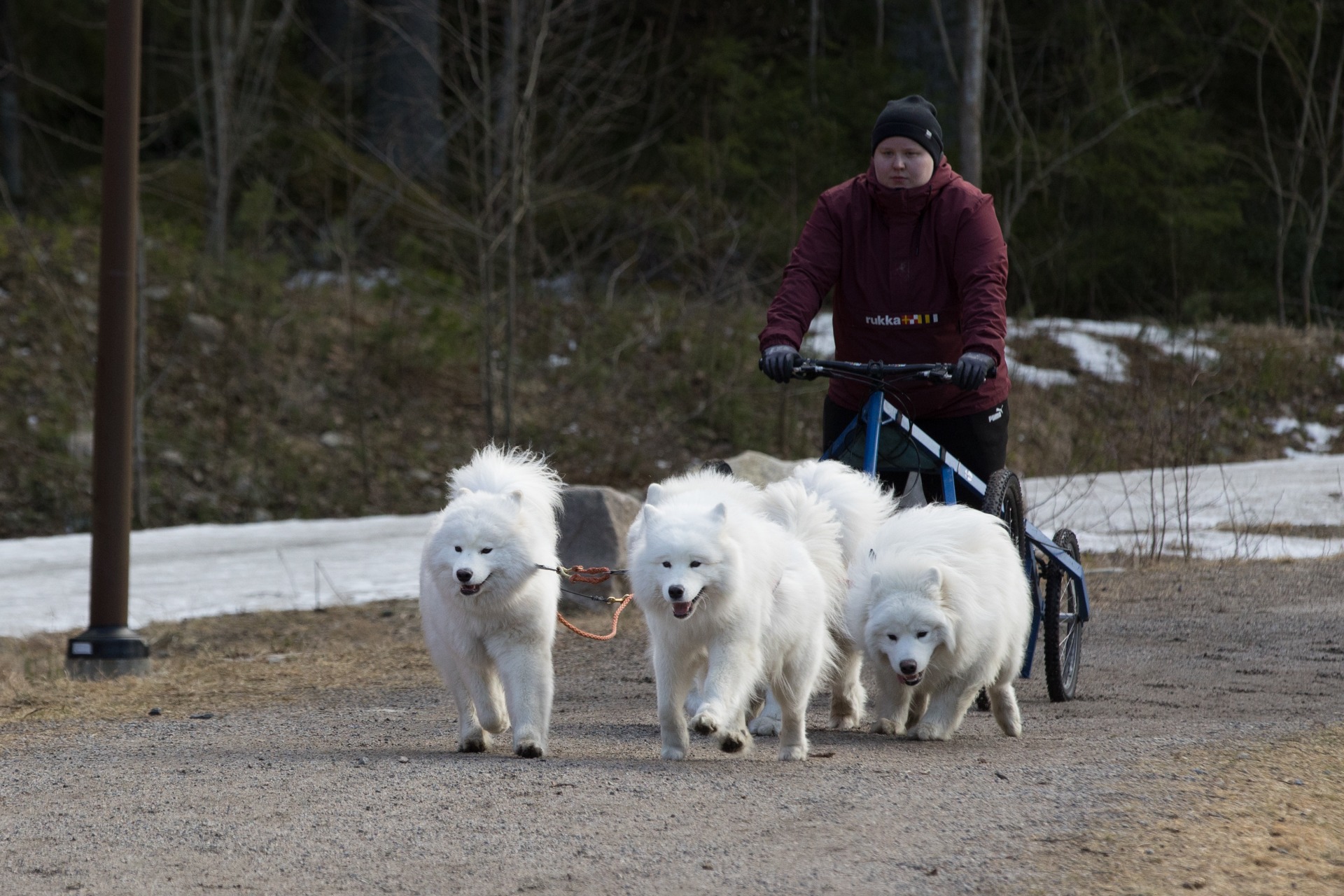 Kuva Teemu Hiltunen, kevät 2025