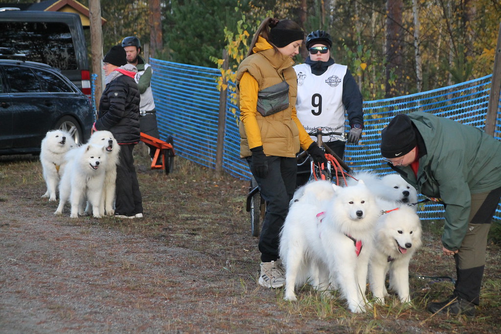 Kuva Sofia Roima & Elli Korppi