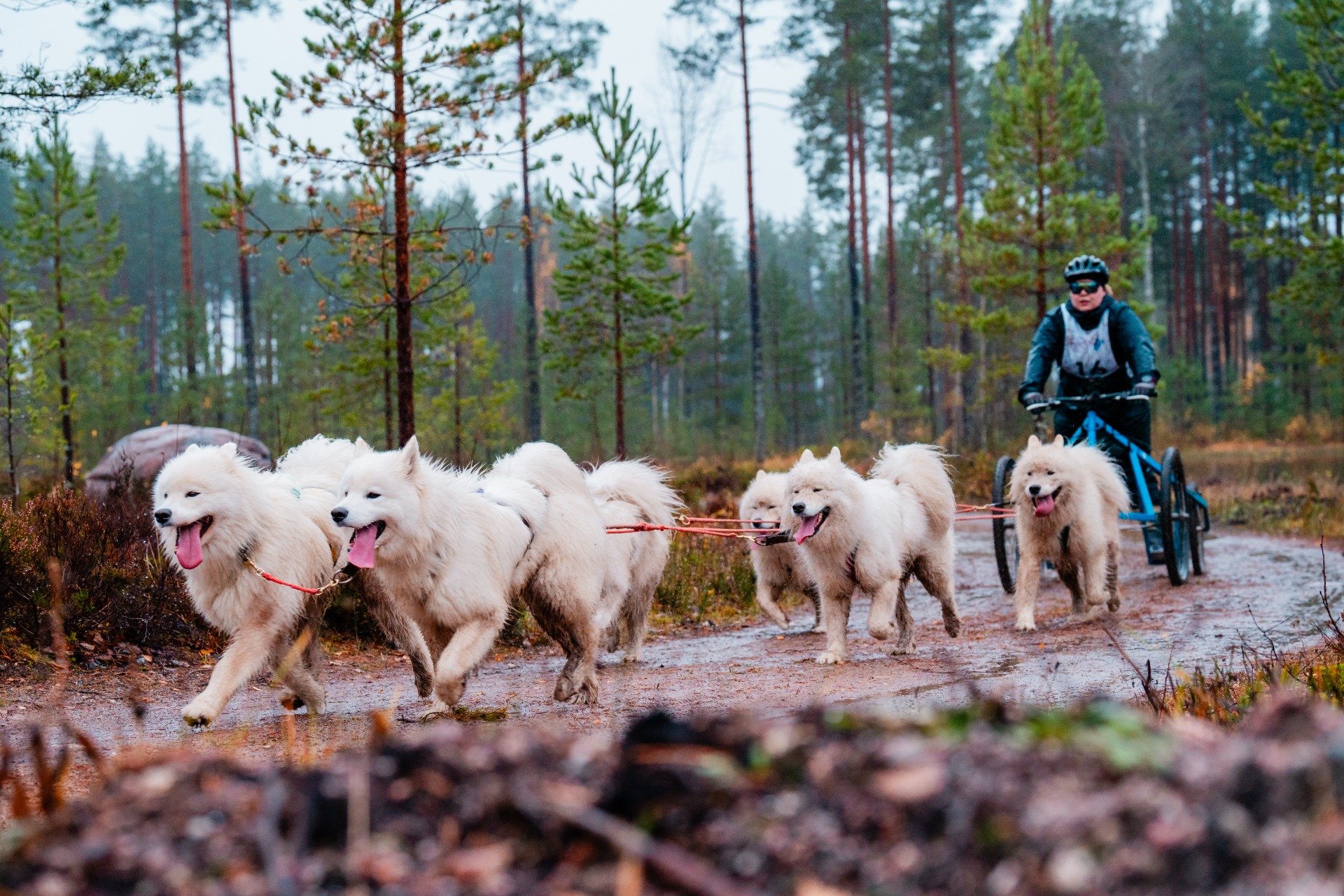 Kuva Roope Haapalainen